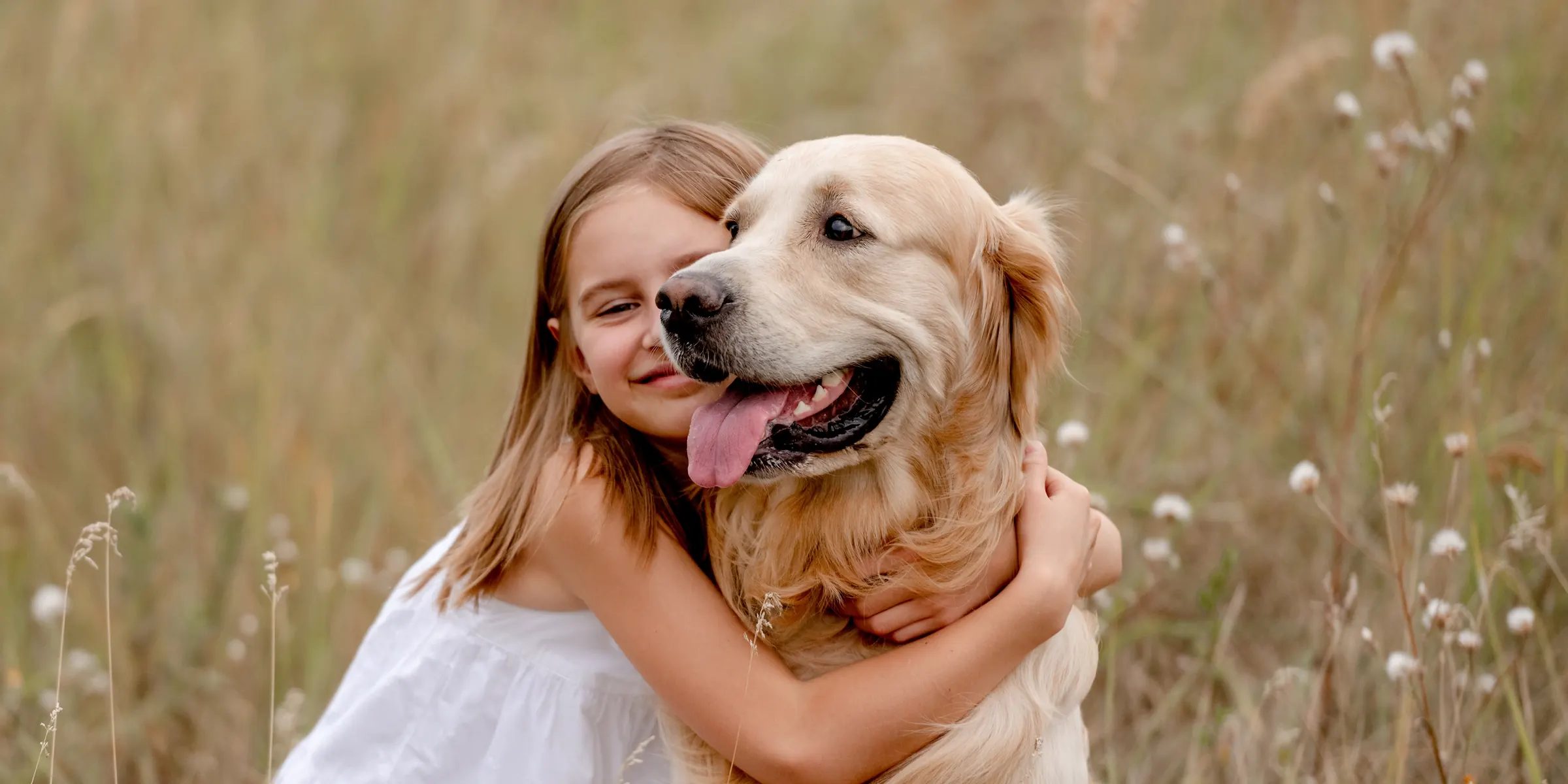 Mädchen umarmt einen Golden Retriever auf einer Sommerwiese