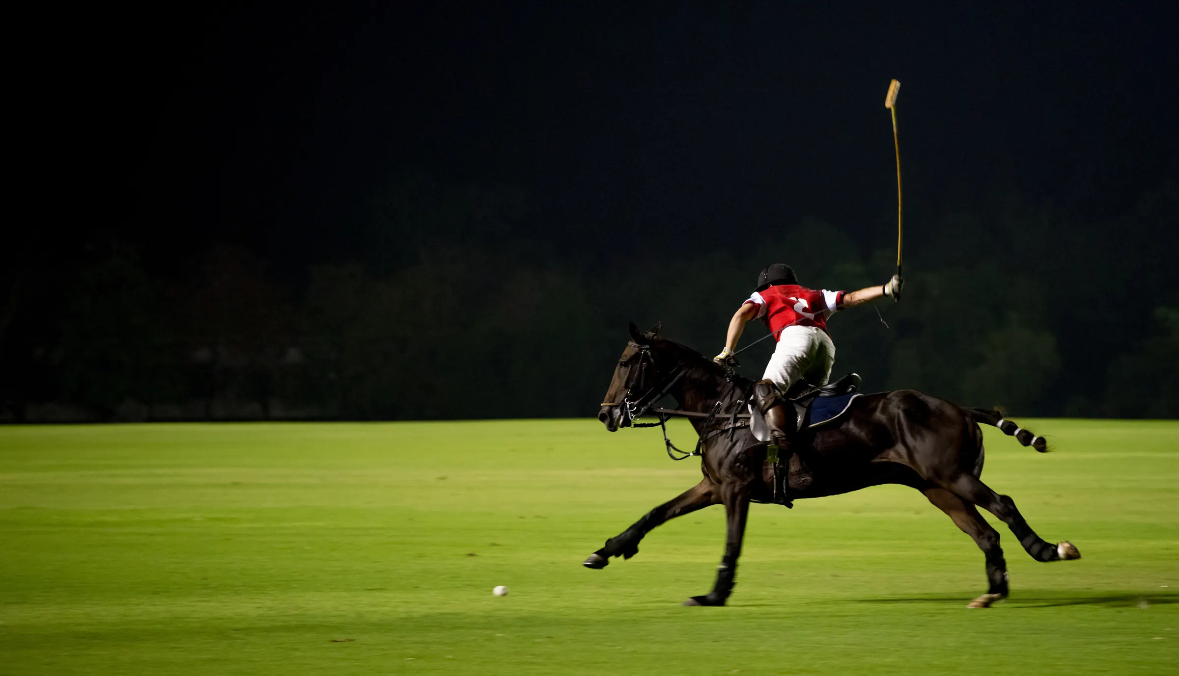 Polospieler im Galopp auf grünem Rasen, dunkler Hintergrund